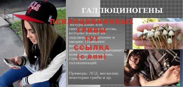 спайс Алзамай
