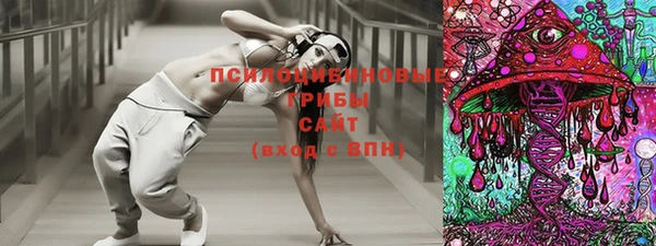 спайс Алзамай