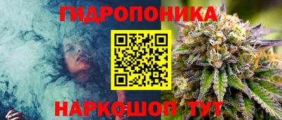 ПСИЛОЦИБИНОВЫЕ ГРИБЫ Пушкино