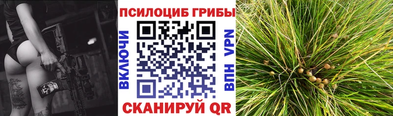 Псилоцибиновые грибы ЛСД Усолье-Сибирское